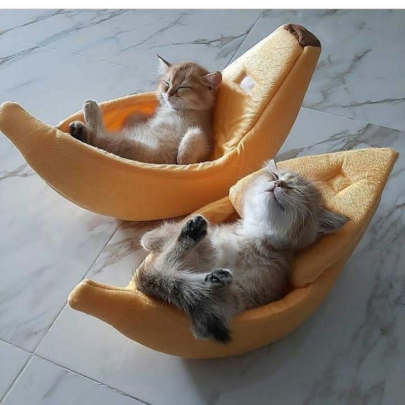 Banana-Shaped Cat Bed with Soft Plush Cushion
